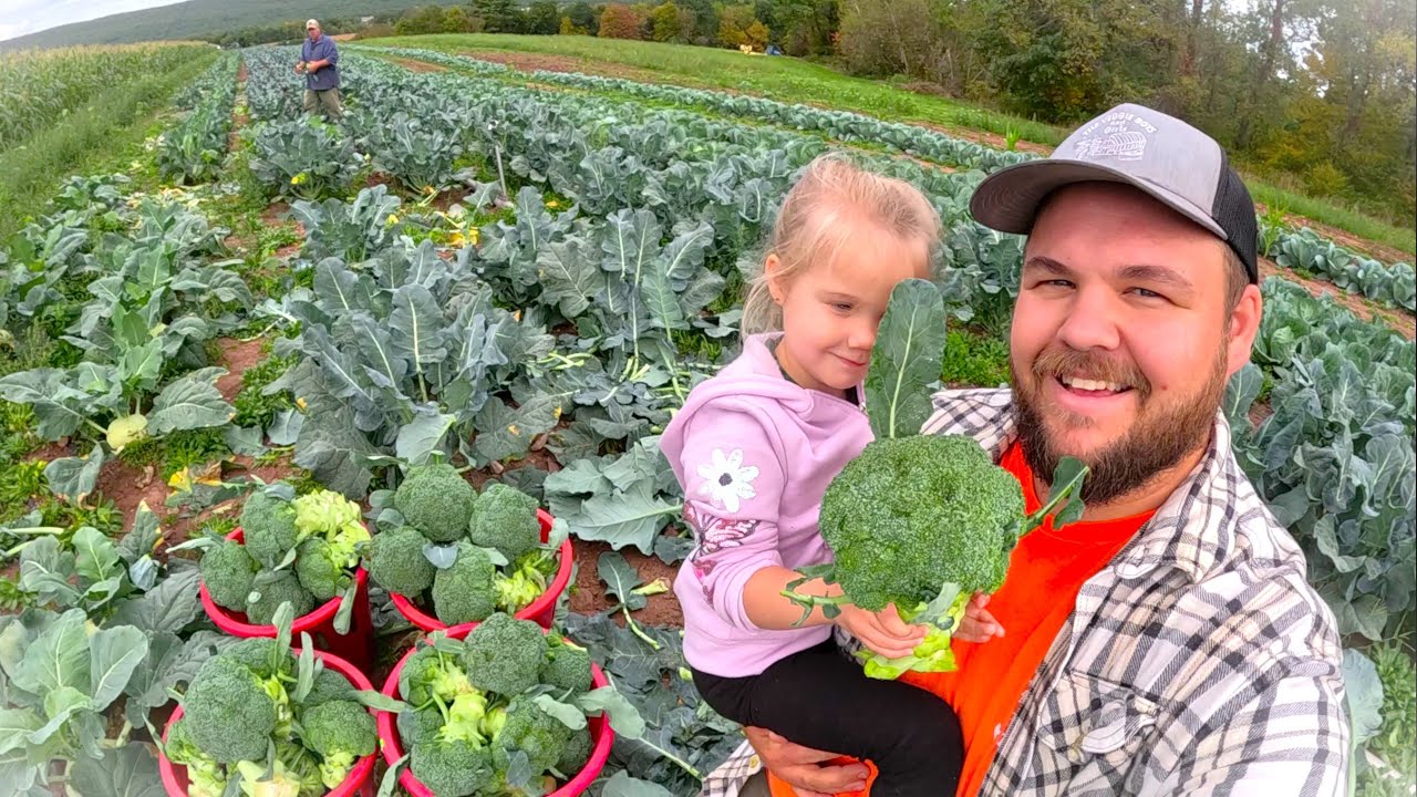 A SPECIAL FALL HARVEST