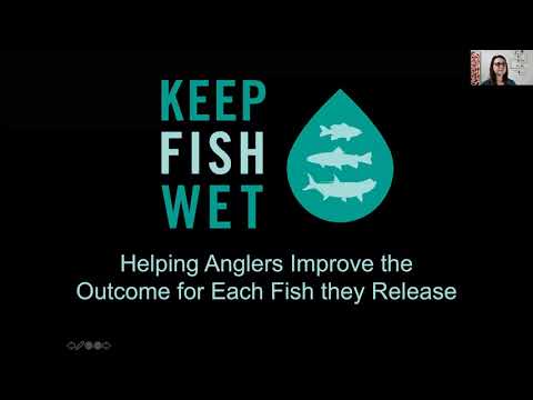 VFA Talk Wild Trout 2020 - Wed 25 Nov - Keep Fish Wet with Sascha Clark Danylchuk