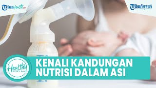Jangan Asal Menyusui, Kenali Kandungan Nutrisi dalam ASI yang Bagus untuk Menjaga Kesehatan Anak