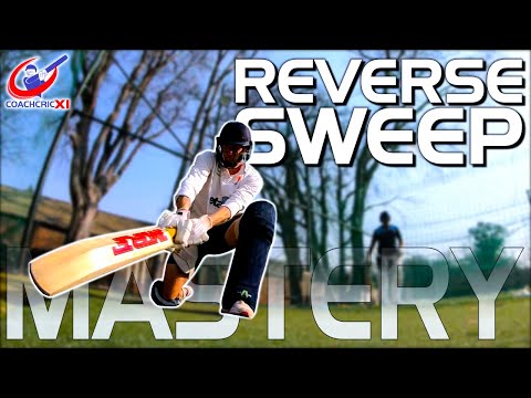 Anyone can learn the Reverse Sweep - DO THESE DRILLS