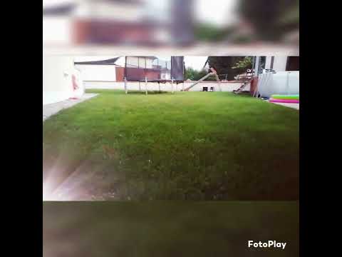 Die magische Legende 🦄🦄🐎🐎