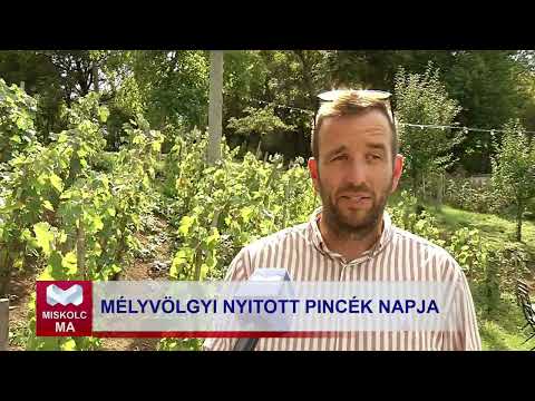 Videó előnézet