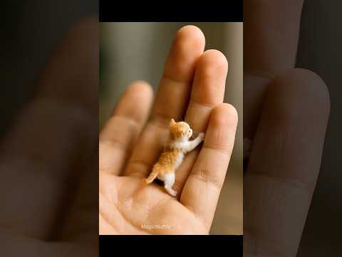 Baby Funny Video 🤣 Baby laughing 😆 #baby #funnydance #shorts