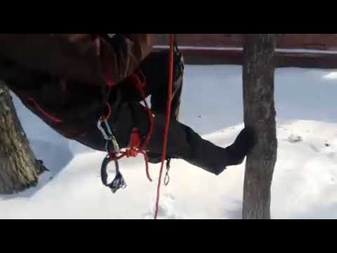 Camp Giant показуха.