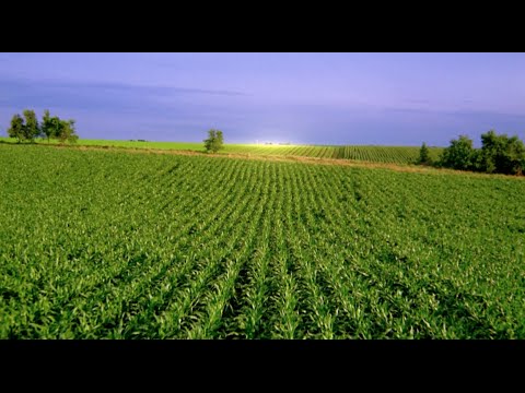 download lagu mp3 mp4 American Horizon, download lagu American Horizon gratis, unduh video klip American Horizon