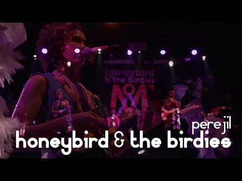 honeybird & the birdies // perejil (live official)