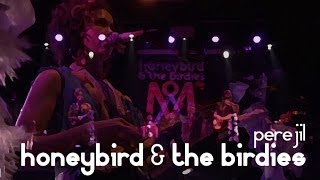 honeybird & the birdies // perejil (live official)