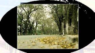 Thu Cuối-Mr.T ft. Yanbi & Hằng Pingpong