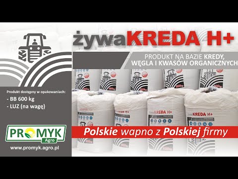 ŻYWA KREDA H+