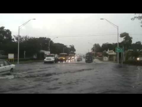 Sarasota thunderstorm downtown flooding