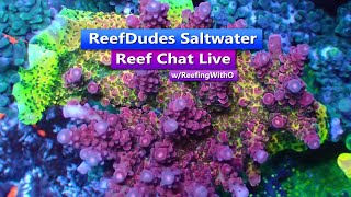 ReefDudes Saltwater Reef Chat Live with ReefingWithO