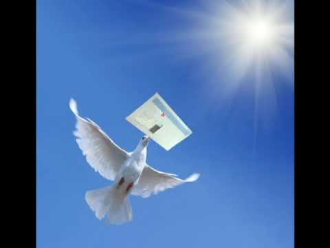 Viper - laishkas, ft  Ink, Shurmas, Baltas shuo