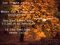 The Paper Kites - Bloom (lyrics on screen) 