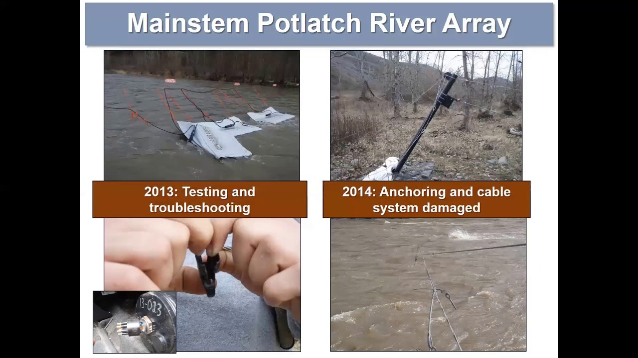 Streams with Highly Vairable Discharge Patterns - Knoth