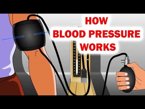 How Blood Pressure Works Animation | Sphygmomanometer | Blood Pressure