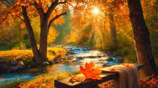 가을의 편안한 피아노 음악 🍁 아무 생각하지 마세요, 스트레스가 사라져요