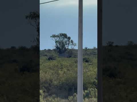 Ex- estación Zapata (Ramal Mendoza- Eugenio Bustos FCGSM), Tunuyán, Mendoza, Argentina