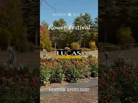 Lucas Roasting video thumbnail