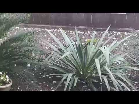CHUVAS DE GRANIZO CÉU azul  PARANÁ 
