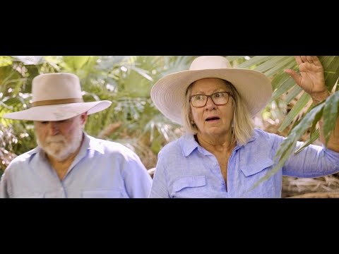 Zebedee Springs