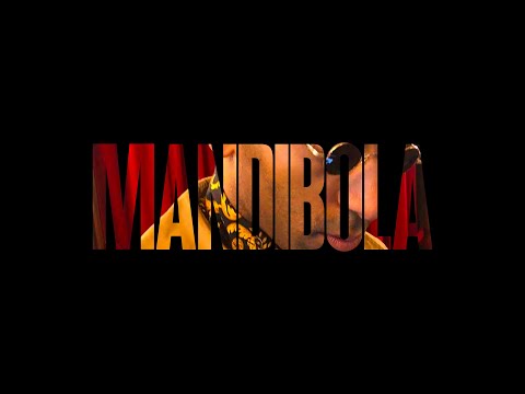Mudimbi - Mandibola (Official Lyrics Video)