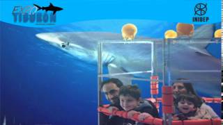 DIA 3 Expo Tiburon69