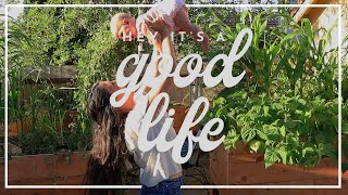 Farewell for now... | August Garden Tour