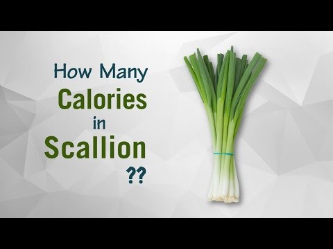 download lagu mp3 mp4 How Much Does A Bunch Of Green Onions Weigh, download lagu How Much Does A Bunch Of Green Onions Weigh gratis, unduh video klip How Much Does A Bunch Of Green Onions Weigh