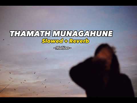 Thamath Muna Gahune 💚 ( Slowed + Reverb ) #slowedandreverb #sinhalasongs #lovesong