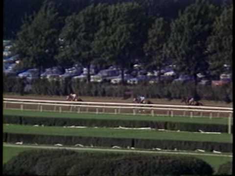 Personal Ensign - The Maskette (G1)