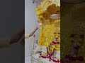 Kashidham Kahva Goga Maharaj Live Darshan