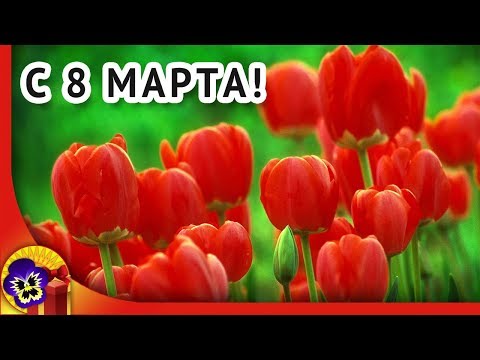 8 марта Международный женский день. Красивое поздравление с 8 марта