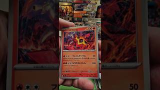 #stellarmiracle master set hunting 😝🤔