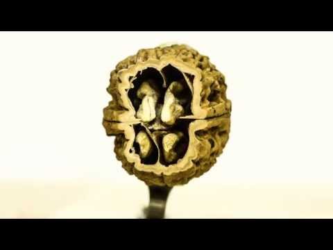 Stop Motion Of Objects Getting Cut In Half Is Insanely Trippy