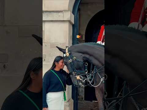 Horses never forget their Native American riders #nativeamerican #history #americanhistory