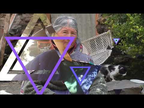 TRIO HUANCAVELICA COLECCION DE ORO 1