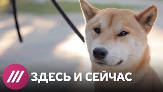 «Это фиаско, братан». Интервью с автором нового мема