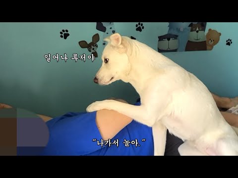아이콘