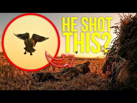 HIGDON OUTDOORS TV - 1001 - "Honkers"