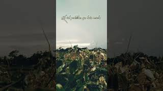 Download lagu Story WA # Berhak Bahagia - Aurel Hermansyah, Atta Halilintar, Mom Uung mp3