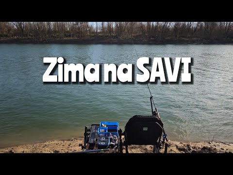 Zimski Feeder na Savi LIVE! - Pecajte samnom!