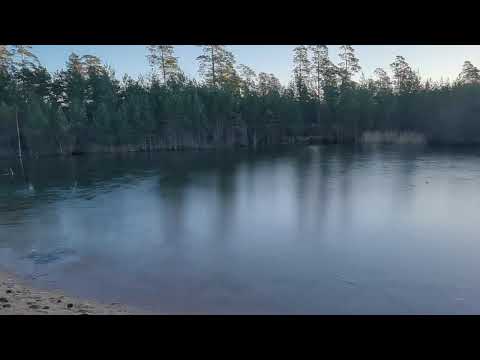 Per Brunbergs lilla sjö i Edestad - Boahaga - 2023-01-27 #blekinge #ronneby 