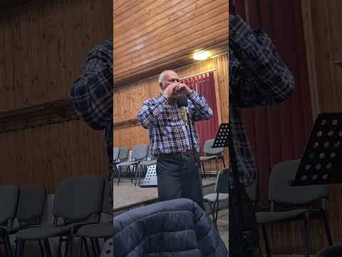 Fratele Luca Burduja ~ instrumental la muzicuță ~ Mai sus de stele...