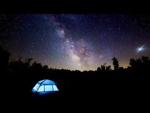 8 Hours Loons Calling With Campfire Sounds - Non-Stop Loon Calls For Relaxing; *NO MUSIC*