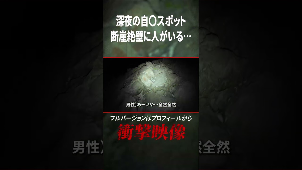 日本屈指の自◯スポット『東尋坊』　深夜の断崖絶壁に人がいて... #人怖 #恐怖 #怖い話