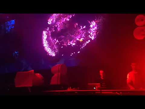 Amorf at Studio 338 ( Home - London )