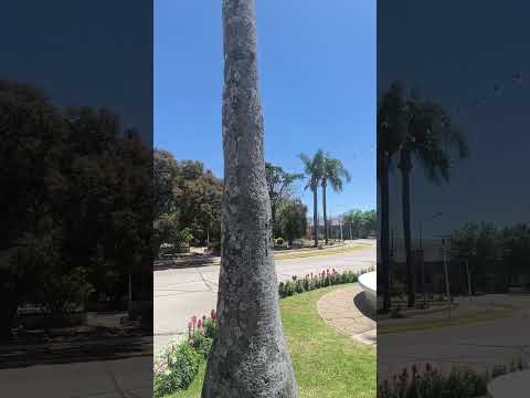 HUMBOLDT, CENTRO, PROVINCIA DE SANTA FÉ, REPUBLICA ARGENTINA.                 #flete #lugares