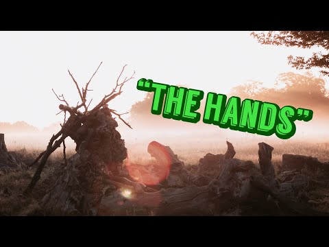 "The Hands" | Legend of Zelda Creepypasta