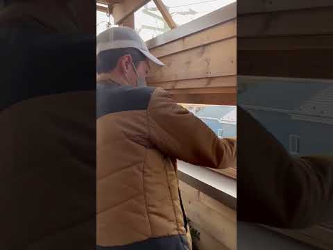 飫肥杉(オビスギ)紹介動画(齋藤木材株式会社)