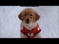 Snow Buddies Bloopers